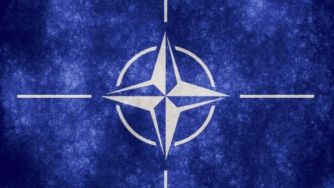 Германия принципиально против вступления Украины в НАТО - МИД фото