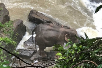 В Таиланде в водопаде утонули шесть слонов, пытаясь спасти слоненка  фото