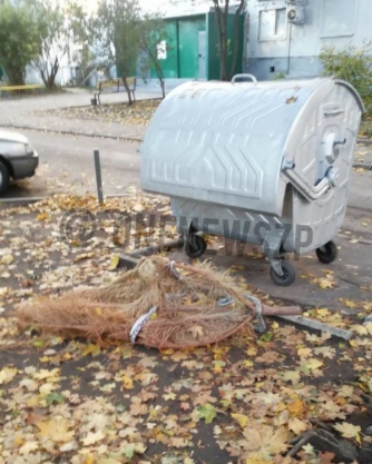 В Запорожье «сдался» еще один человек, выбросив новогоднюю елку фото