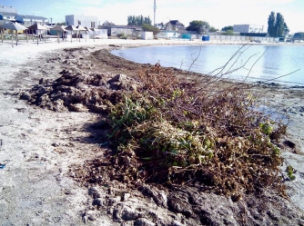 В Бердянске жители устроили свалку прямо на берегу моря фото