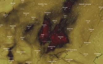 В атмосфере над Украиной зафиксирован повышенный уровень угарного газа фото