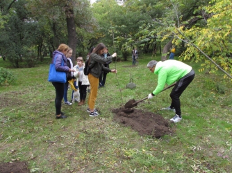 Мелитопольцев приглашают пересаживать деревья в лесопарке фото