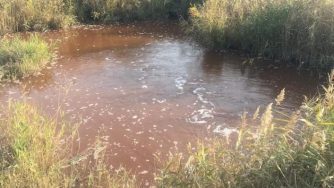 Полиция будет искать виноватого в сливе стоков в лиман  фото