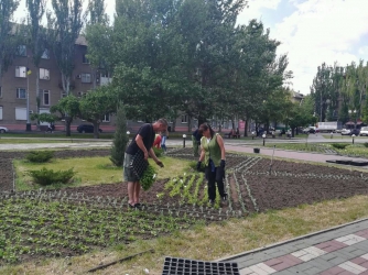 Горбюджет выделит деньги на озеленение и экологическую пропаганду фото