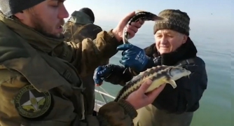 В Азовском море пограничники обнаружили сети с осетрами  фото