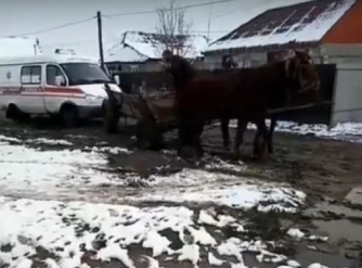 На Закарпатье лошади спасали машину скорой помощи  фото