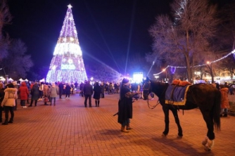 В Запорожье засияла главная елка города  фото