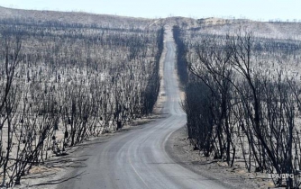 В Австралии лесной пожар охватил площадь более 500 тысяч га фото