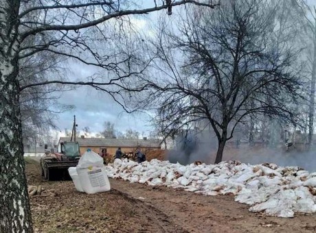 Яйца, приобретенные в Винницкой области, изымают из реализации из-за птичьего гриппа фото