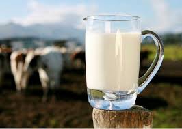 Сельчане продают молоко дешевле воды фото
