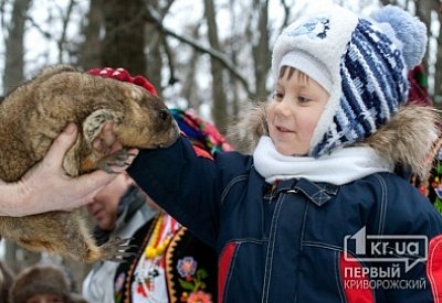 Стали известны прогнозы харьковского сурка Тимки фото