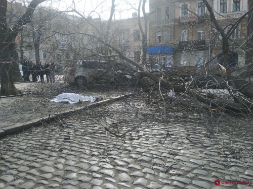 В центре Одессы женщину насмерть привалило частью дерева фото