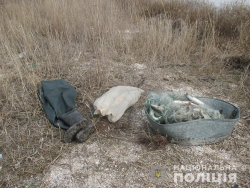 В Приморском районе обнаружили браконьера фото