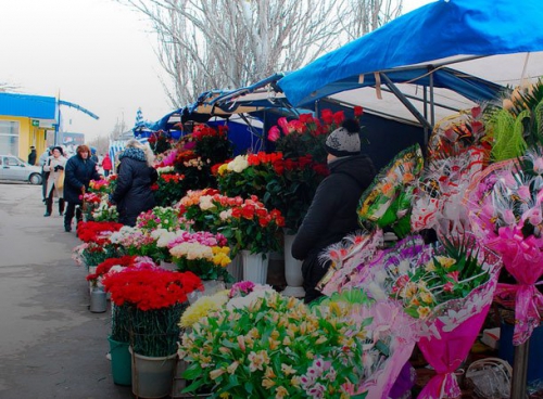 В Мелитополе определят, где цветами на 8 Марта торговать можно (АДРЕСА) фото