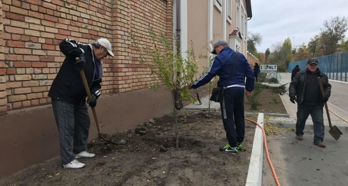 Сколько в Мелитополе на озеленение в этом году планируют потратить фото