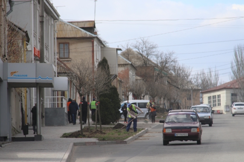 В Мелитополе озеленяют улицу фото