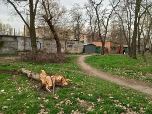 В городском парке порядки наведут к маю фото