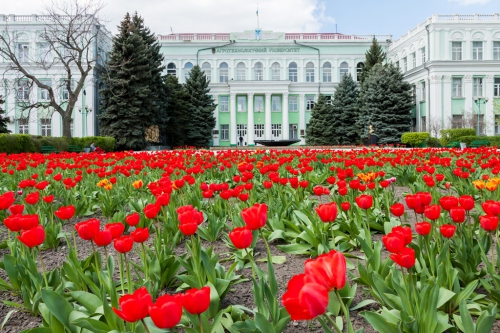 Мелитопольские университеты - снова на высоких позициях рейтинга фото