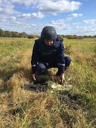 Под Мелитополем нашли артснаряд и две мины фото