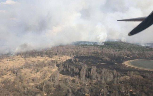 Пожар в Житомирской области, где почти 10 дней горит лес, локализовали фото