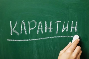  Карантин 2020. Топ-5 товарів необхідних для проведення часу на самоізоляції  фото