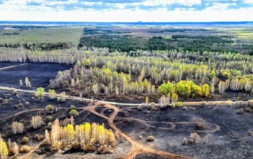 В Чернобыльской зоне ликвидировали все очаги пожара фото