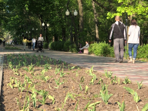 Карантинные меры: в выходные дни в центральном парке города дежурят полицейские фото