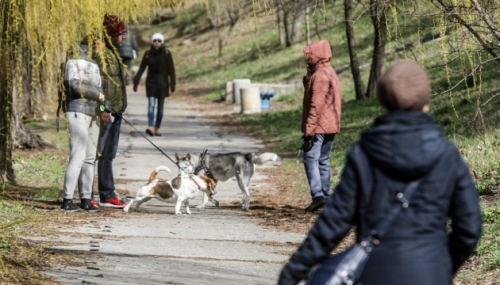 В Украине начался первый этап смягчения карантина: что открылось фото