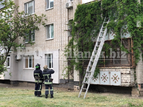 В Бердянске в квартире обнаружили разлагающийся труп  фото