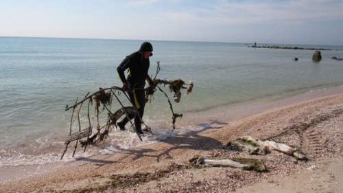 Водолазы чистят море в Кирилловке фото