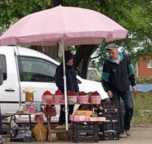 У телевышки черешней вдоволь сегодня не затаришься (ФОТОФАКТ) фото