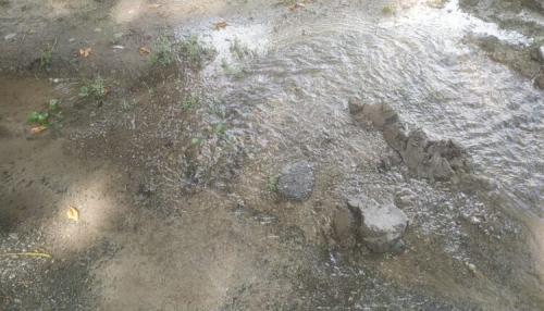 В Запорожье на Космосе из-под земли забила вода (ФОТО-ВИДЕО) фото