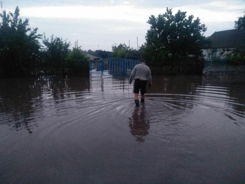 В Запорожской области из-за ливня подтопило дома: вызывали спасателей  фото