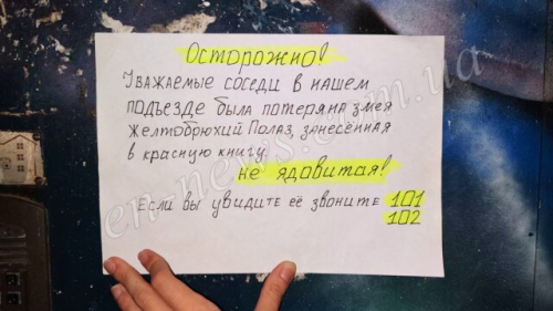 ЧП в Запорожской области: в подъезде жилого дома потерялась краснокнижная змея фото