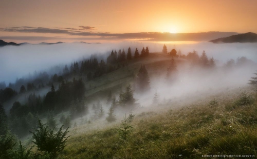 10 найкращих місць для відпочинку в Україні влітку  фото