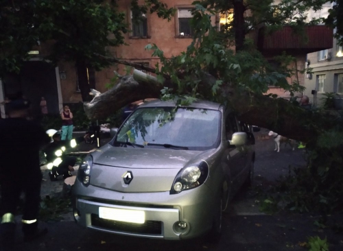 Поваленные деревья и избиты авто: в Херсоне бурлила непогода фото