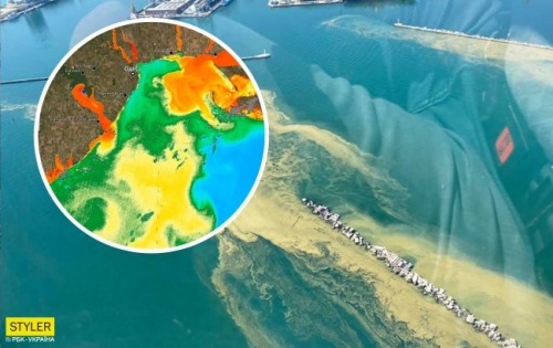 В Одессе цветение моря достигло апогея: явление показали из космоса  фото