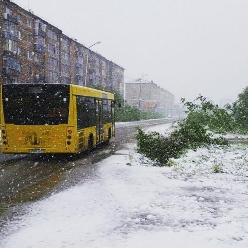 В России заповедник внезапно засыпало снегом посреди лета фото