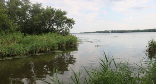 В Запорожье берег Днепра убрали от мусора фото