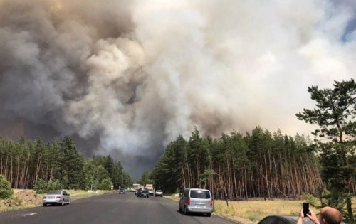 На Луганщине из-за обстрела вспыхнул лесной пожар фото