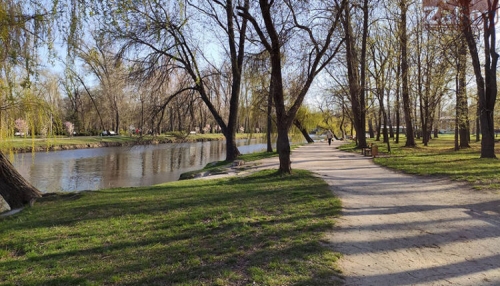 В запорожском парке к отдыхающим на пикник приползла змея  фото