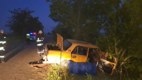 В Запорожской области Жигули влетели в дерево, пострадали три человека фото