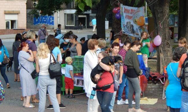 В центре Запорожье прошла акция при участии десятка собак фото