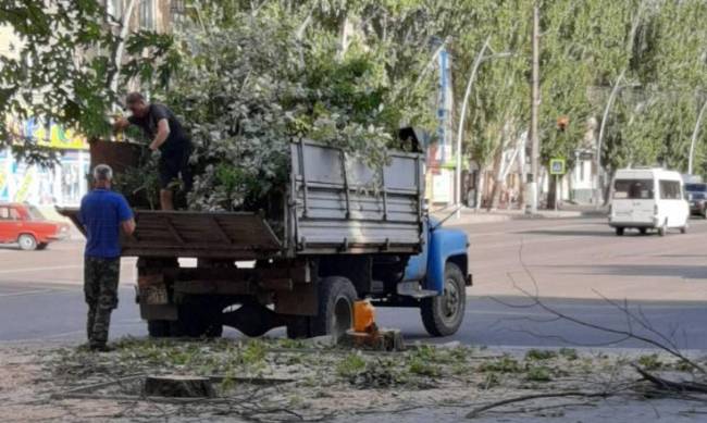 Коммунальщики с утра сносят деревья около библиотеки им. Лермонтова фото