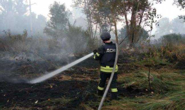 В Харьковской области потушен один из лесных пожаров фото