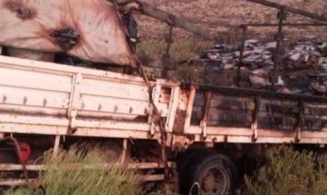 В Запорожской области на трассе загорелся грузовик  фото