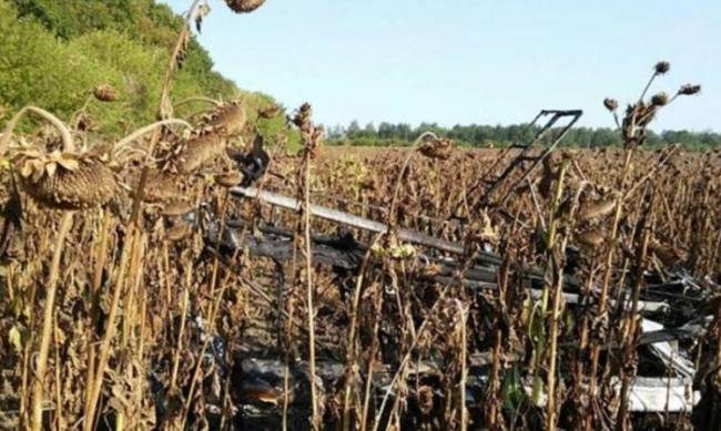 В Сумской области разбился самолет: есть жертвы фото