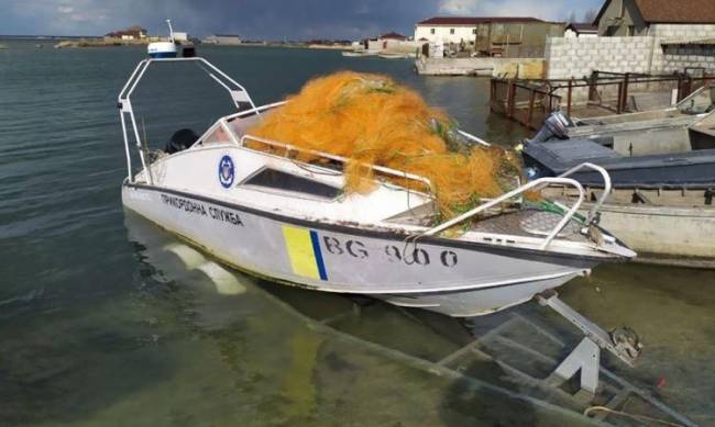 В Азовском море дельфин едва не погиб в сетях браконьеров фото