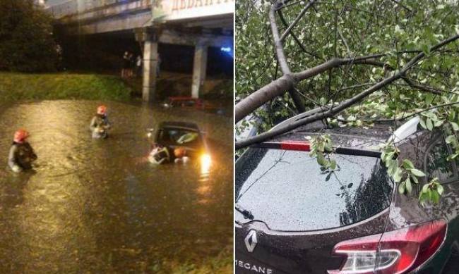 Снег, потоп и поваленные деревья: фото и видео последствий жуткой непогоды в Украине фото