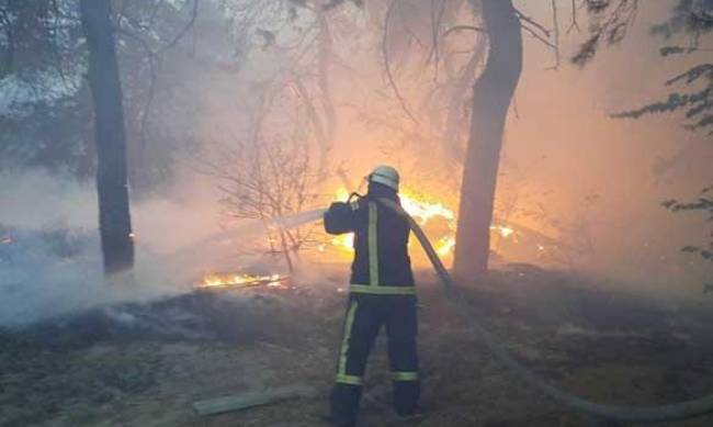 В Луганской области усугубились пожары фото